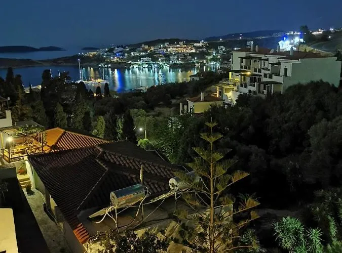 Afroditi's Terrace View Batsi (Andros)